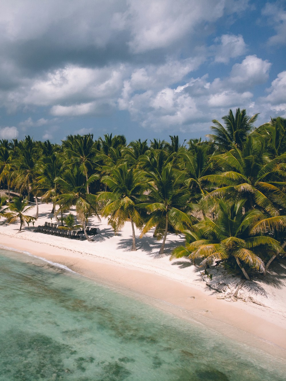 Strand mit Palmen und türkisfarbenem Meer